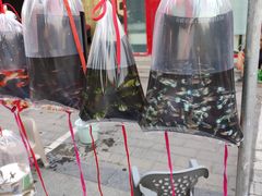 -华声天桥民俗文化园