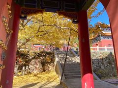 -遵化市禅林寺古银杏风景园