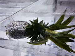 -宁波冰雪大世界(北仑区)