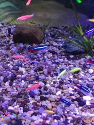 -酷嗒动物文化乐园(cutezoo西溪乐天城店)