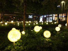 -陈鹏鹏潮汕菜(欢乐海岸 海边景观店)