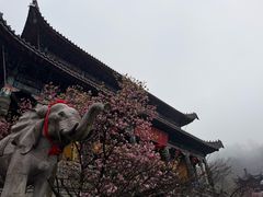 -九华山风景区