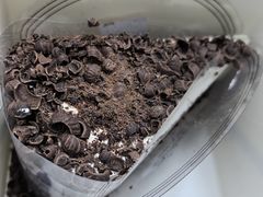 -金凤成祥(东直门现烤面包店)