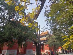 -北京国子监胡同