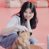 江浙沪周边游🐯宁波雅戈尔动物园互动全攻略