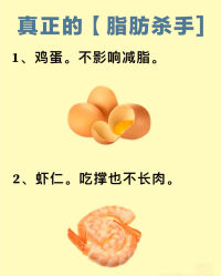 -Fundi张玉珊修身堂·indiba·BTL科技瘦身