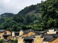 -杨家堂村