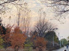 -长春公园(普阳街道)