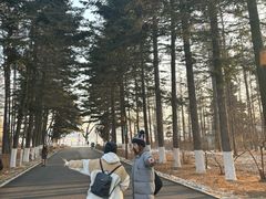 -长春市南湖公园