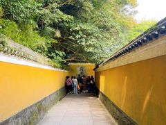 -普陀山慧济禅寺