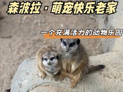 -佛冈森波拉度假区