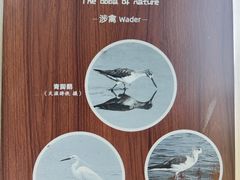-华侨城湿地公园