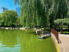 -团结湖公园