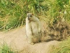 -黄河九曲第一湾