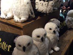 -九又四分之三站台