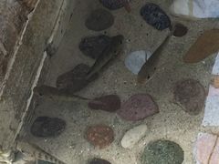 -龙达温泉生态城