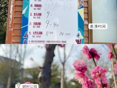 -顾村公园