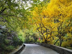 -北京上方山国家森林公园