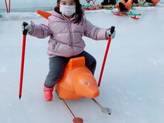 -沈阳奥体冰雪嘉年华