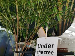 -张一元茶庄(望京店)