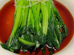 -茶人村·前滩江景雅宴(上海首店)