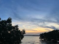 -宝安西湾红树林湿地公园