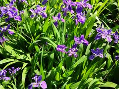 -国家植物园南园