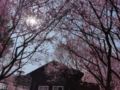 -桐乡植物园