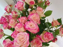 -楼兰新疆菜(江宁万达店)