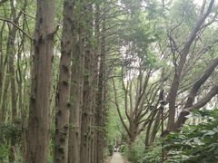 -同里国家湿地公园