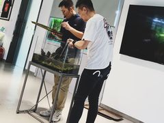 -ADA自然水景世界