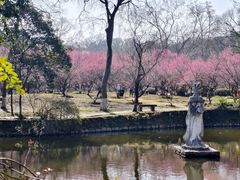 -采石矶景区