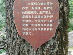 -洛阳白云山景区