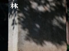 -西安碑林博物馆