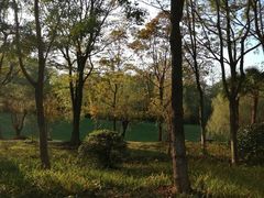 -合肥三国新城遗址公园