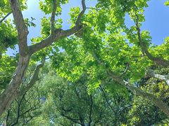 -上海交通大学董浩云航运博物馆