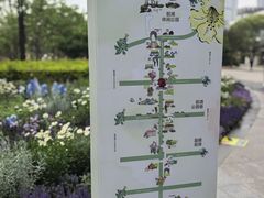 -东方体育中心(地铁站)