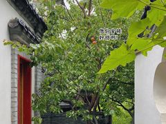 -老张烤羊(王哥庄店)