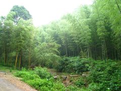 -黄公望隐居地