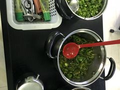 -蚝专家