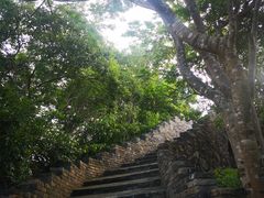 -小南山公园