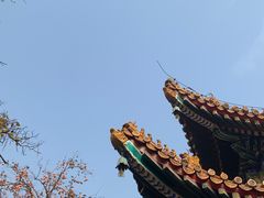 -雍和宫