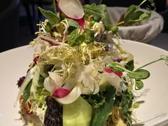 二十种时蔬沙拉-Solo(衡山路店)