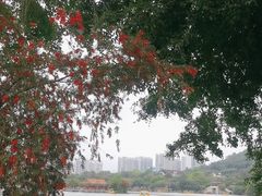 -珠海圆明新园