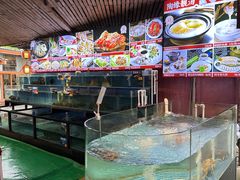 -陶缘一号·四季缘·老字号顺德菜·户外婚礼家宴(西滘店)