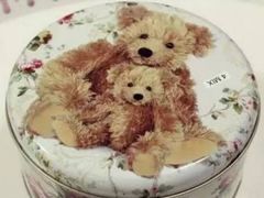 -珍妮曲奇聪明小熊(尖沙咀店)