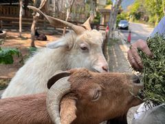 -广州锦绣香江度假别墅