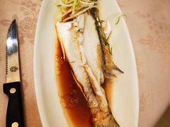 -十八棵（老龙井）御茶园(老龙井店)
