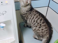 -中农国际动物医院24小时·猫科·骨科·急重症中心