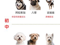 -宠乐迪宠物生活馆(德平路店)